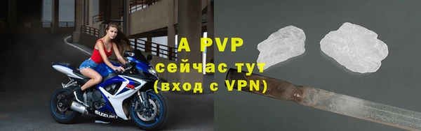 apvp Коряжма