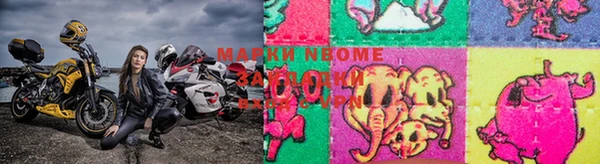 apvp Коряжма